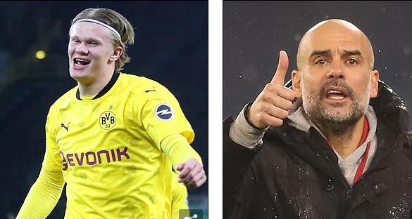 “5个绝对”风波仅一周 张本智和口碑就迎来反转